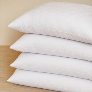 Set 4 Almohadas 55x35 cm Con Protector Antifluido